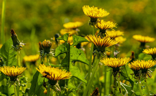 久病不愈怎样破解?有可能是有婴灵在干扰