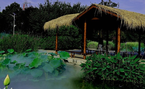 懷孕多久打掉是嬰靈,不僅打胎會產生嬰靈