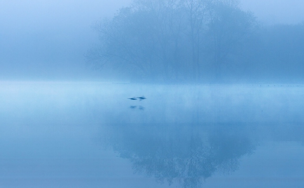 這個實用的渡亡文,念完就可以回向給亡靈