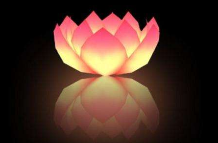 被流產的孩子和父母的緣分很深