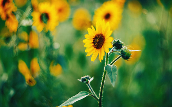 色鬼投胎超度亡灵法事,很简单的超度方法