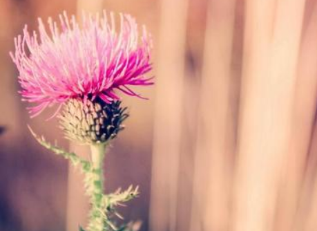 自然流產(chǎn)因果報(bào)應(yīng)解析