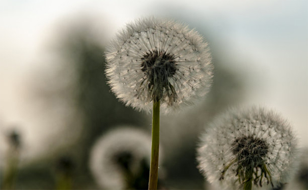 没有超度亡灵转世投胎,对于我们自身的影响很大