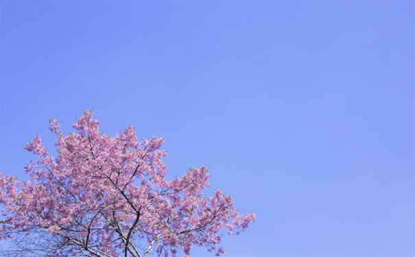 什么是超度婴灵?选择专业人士顺利完成