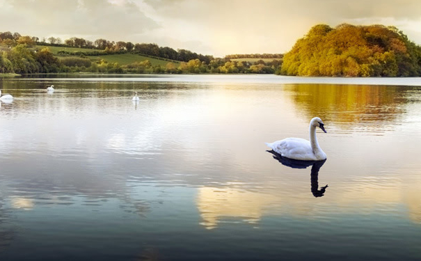 靈嬰復仇事件,有嬰靈糾纏需要趕緊化解亡靈