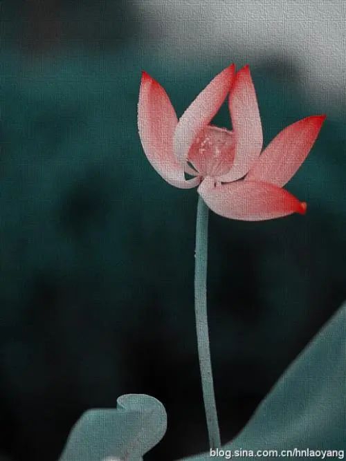 財庫在八字中的作用