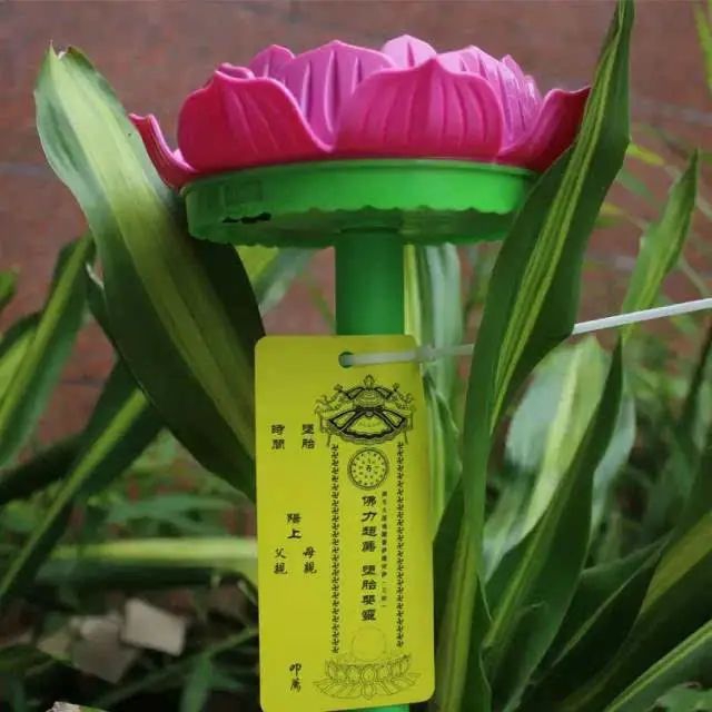 堕胎婴灵牌位管用吗 , 超度咒