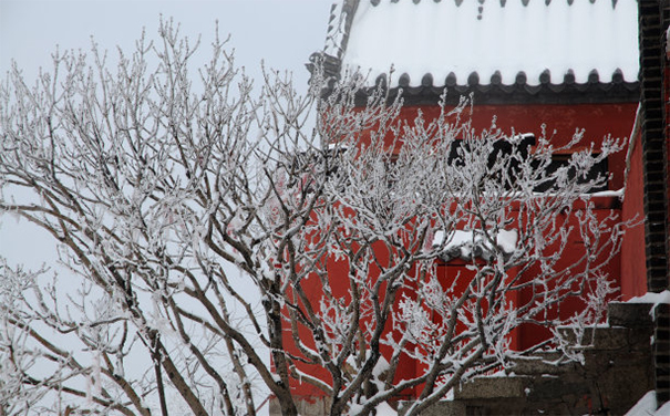 小孩惊吓过度能打安定吗?不如去试试道教收魂