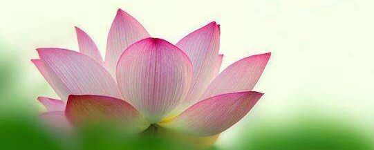 在寺庙超度堕胎婴灵有什么没有用 , 上海超度婴灵去哪里