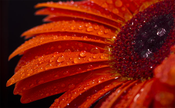 婴灵超度需要多少钱?原来婴灵报复这么严重