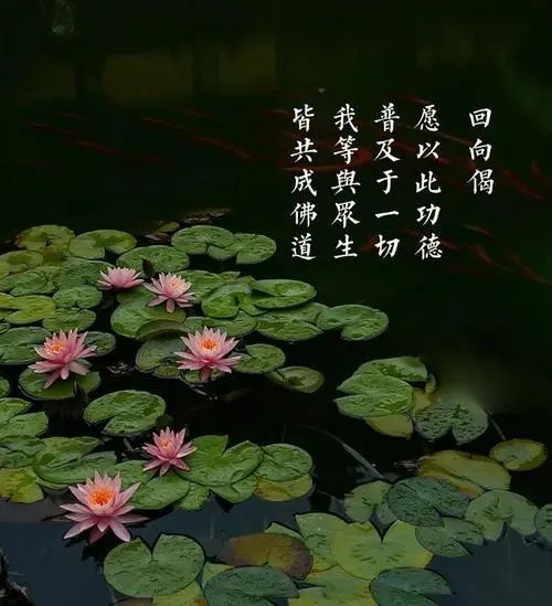 道教還陰債經文唱誦 放生可以還陰債嗎