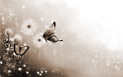 桃花煞是什么意思,桃花煞代表什么意思