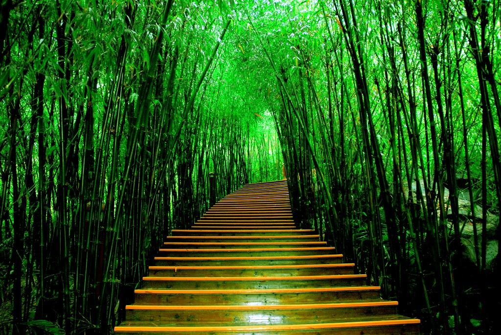 道家还阴债符 /还阴债是上午还是晚上