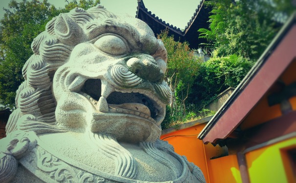 民间招财转运秘法,想要家里招财转运看这里