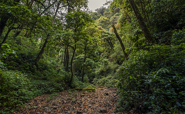 死人投胎需要經過中陰體，才能再次投胎轉世