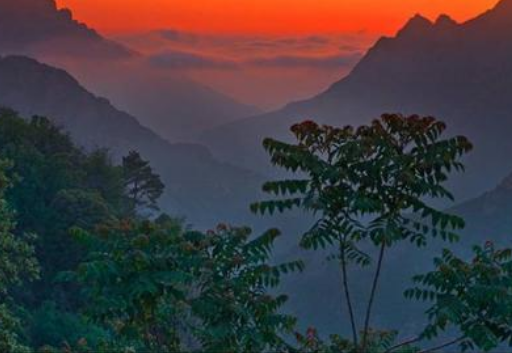 打胎因果報應都是假的,大家千萬不要相信