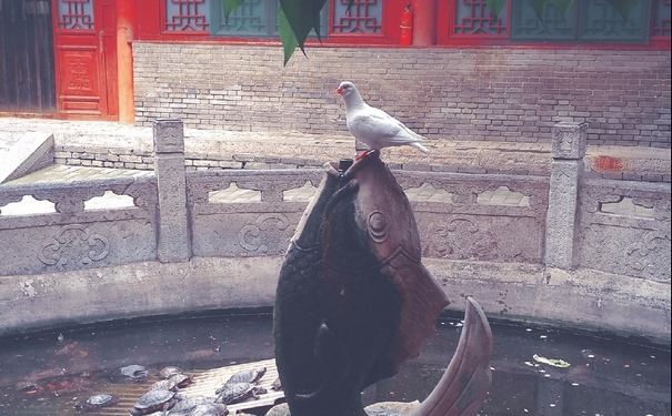 怎样超度亡人?被亡灵纠缠的你需要这样超度