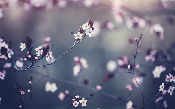 人死之后投胎的過程,超度讓亡靈更快轉(zhuǎn)世