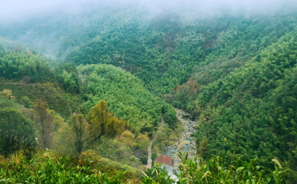 讨债的孩子面相特点,两条眉毛会连在一起