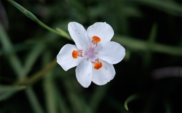 做法超度化解亡靈糾纏,成功送走亡靈獲得安康