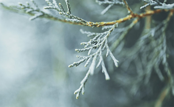 皮肤长痘因果报应,都是因为我们的口腹之欲