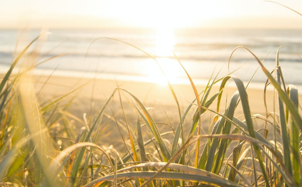 渡亡能做幾次,化解對亡靈的意義