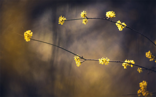 用煙供來超度亡靈,三峰道長是這樣說的