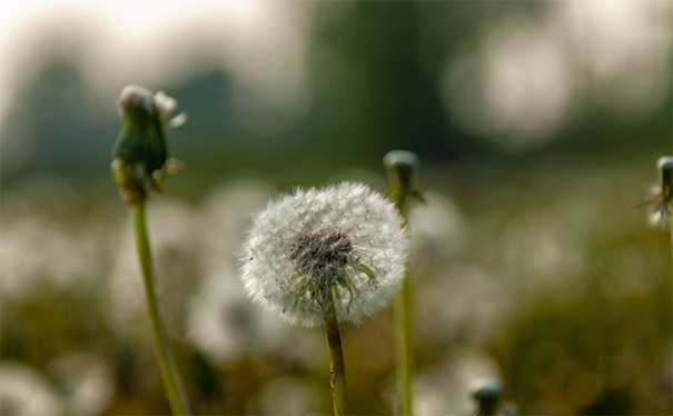 搬家后久病不愈,这是因为我们居住风水出现问