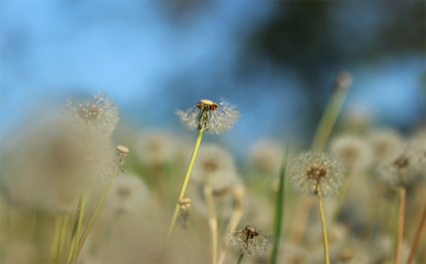 如何为堕胎婴灵做功德超度很关键