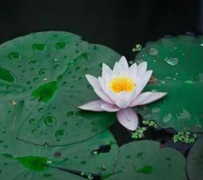 打胎以后事事不順，還常常生病