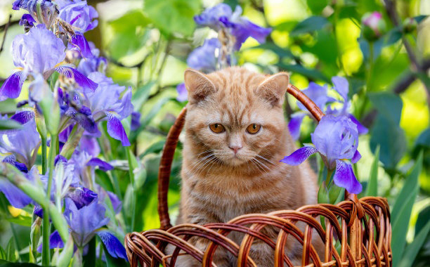 職場遇到小人怎么對付 一招幫你搞定