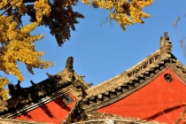 道家超度秘法超度婴灵有用吗