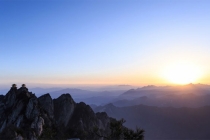 桃木剑的摆放风水金蟾的风水作用