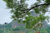 江苏男子摸出文物久病不愈,撞邪了怎么化解