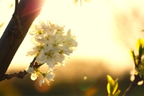 久病不愈胸闷查不出原因 可能是犯了什么风水