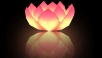 被流产的孩子和父母的缘分很深