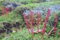 年轻人结婚率越来越低，八字算命给你解惑