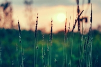 家中最简单的辟邪方法，保佑你平安