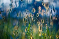 道家亲人成功超度的表现