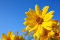 人在转运前必定要倒霉，所以倒霉的时候不要气