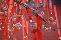 第三者因果报应有哪些 生活鸡犬不宁很常见