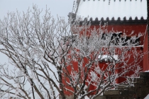 小孩惊吓过度能打安定吗？不如去试试道教收魂