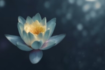 做梦老公事业受阻 近几天和爱人关系要小心