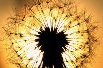 大师分享最简单有效的驱邪方法