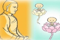 死胎的孩子和父母的缘不够深