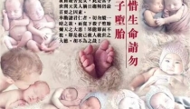 海涛法师超度婴灵仪轨 , 堕胎会有报应么