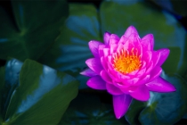 几个堕胎超度好处不能对外说的原因