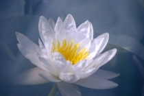 超度亡灵对生者好处超度失败后果