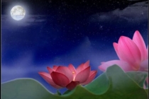 诵经回向功德超度亲人亡灵