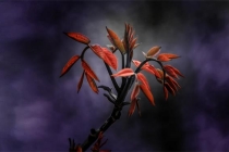 震惊！竟然有人说打胎因果报应都是假的